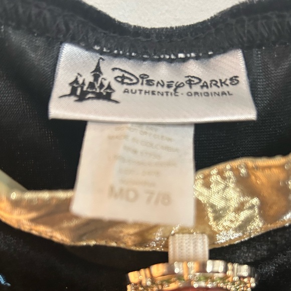 Original Princess Anna Disney Park Dress - Picture 5 of 6